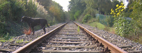 Stimmungsbild-Hermann Ernst-Fischer-6